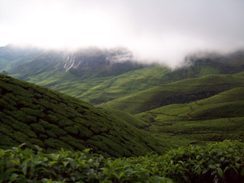 Munnar Sightseeing Places