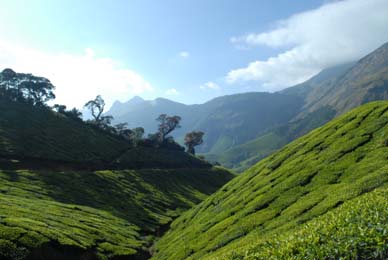 Munnar honeymoon Packages, Kerala - Kolukkumalai