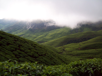 Munnar Tourist Attractions - Kolukkumalai